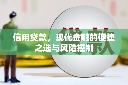 乐东信用贷款，现代金融的便捷之选与风险控制