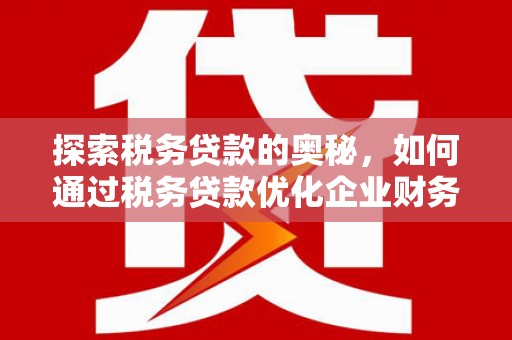 乐东探索税务贷款的奥秘，如何通过税务贷款优化企业财务