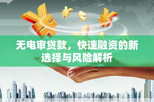 乐东无电审贷款，快速融资的新选择与风险解析