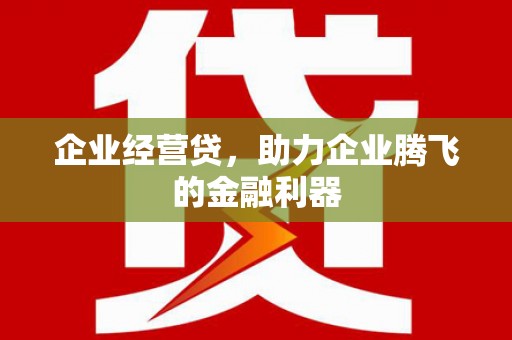 乐东企业经营贷，助力企业腾飞的金融利器