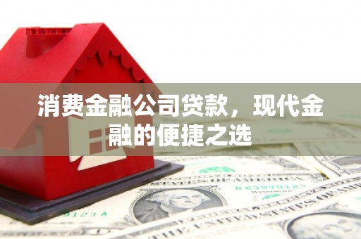 乐东消费金融公司贷款，现代金融的便捷之选