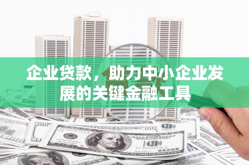 乐东企业贷款，助力中小企业发展的关键金融工具