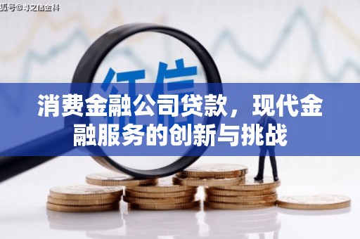 乐东消费金融公司贷款，现代金融服务的创新与挑战