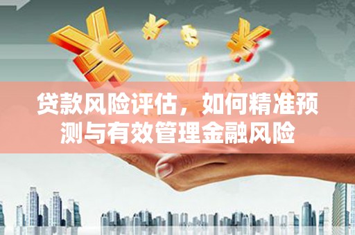 乐东贷款风险评估，如何精准预测与有效管理金融风险