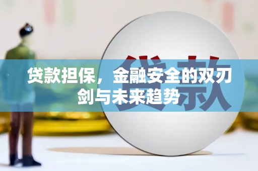 乐东贷款担保，金融安全的双刃剑与未来趋势