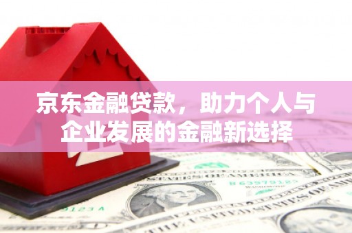乐东京东金融贷款，助力个人与企业发展的金融新选择