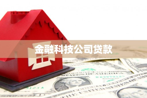 乐东金融科技公司贷款