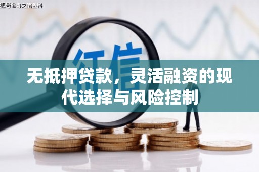 乐东无抵押贷款，灵活融资的现代选择与风险控制