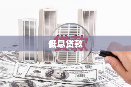 乐东低息贷款