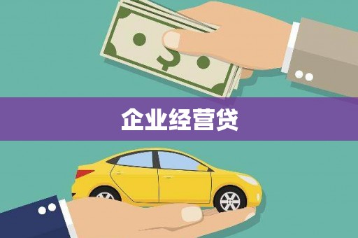 乐东企业经营贷