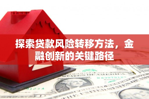 乐东探索贷款风险转移方法，金融创新的关键路径