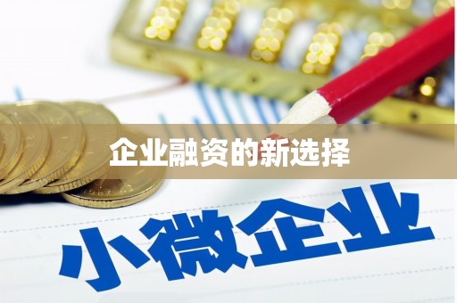 乐东企业融资的新选择