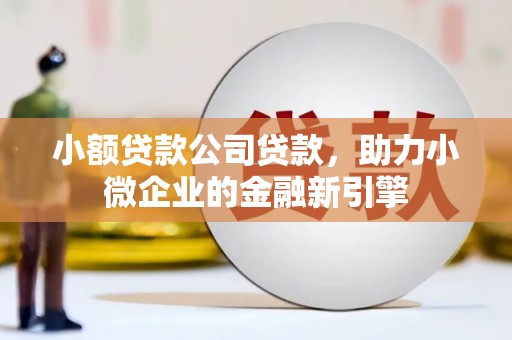 乐东小额贷款公司贷款，助力小微企业的金融新引擎