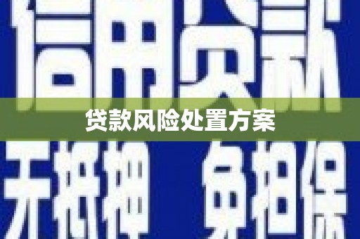 乐东贷款风险处置方案