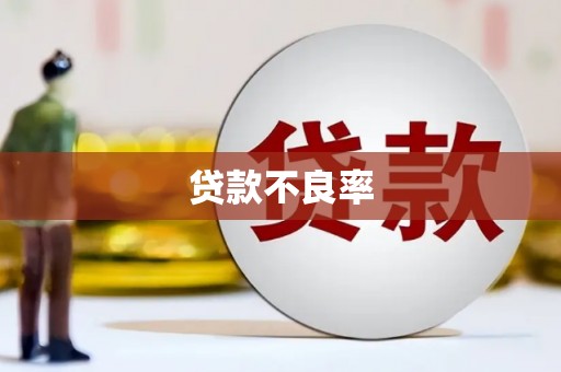 乐东贷款不良率