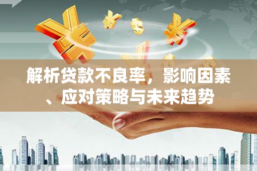 乐东解析贷款不良率，影响因素、应对策略与未来趋势