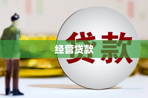 乐东经营贷款