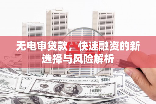 乐东无电审贷款，快速融资的新选择与风险解析