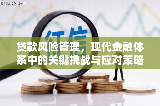 乐东贷款风险管理，现代金融体系中的关键挑战与应对策略