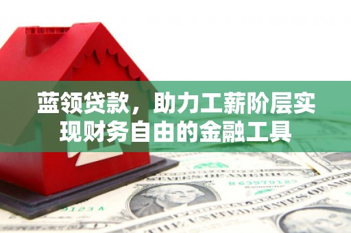 乐东蓝领贷款，助力工薪阶层实现财务自由的金融工具