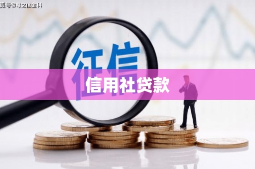 乐东信用社贷款