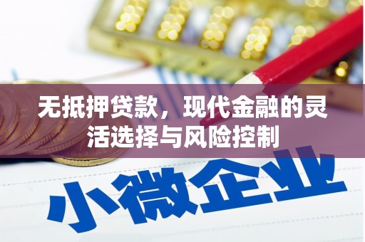 乐东无抵押贷款，现代金融的灵活选择与风险控制