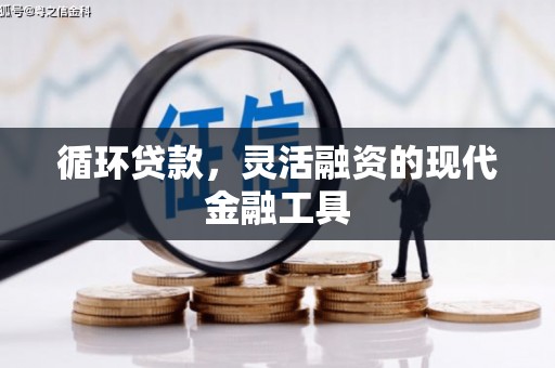 乐东循环贷款，灵活融资的现代金融工具