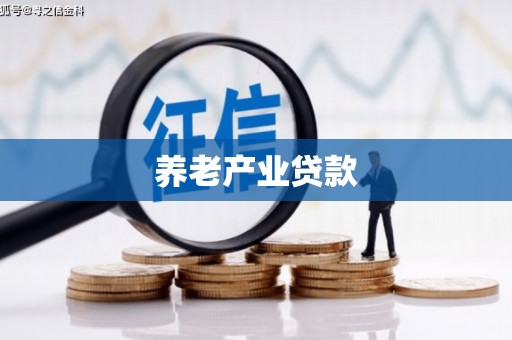 乐东养老产业贷款