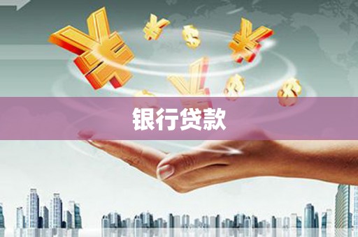 乐东银行贷款