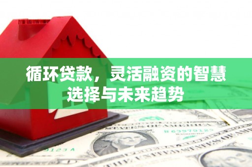 乐东循环贷款，灵活融资的智慧选择与未来趋势