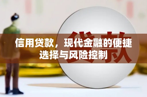 乐东信用贷款，现代金融的便捷选择与风险控制