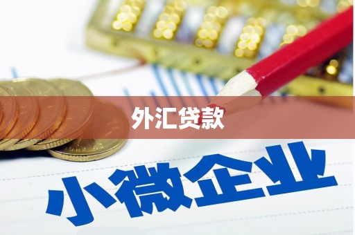 乐东外汇贷款