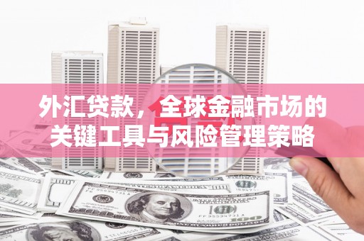乐东外汇贷款，全球金融市场的关键工具与风险管理策略