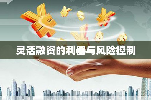 乐东灵活融资的利器与风险控制