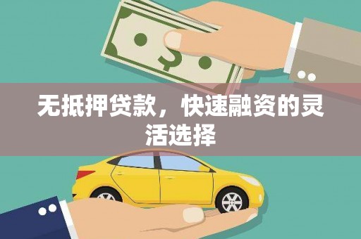 乐东无抵押贷款，快速融资的灵活选择