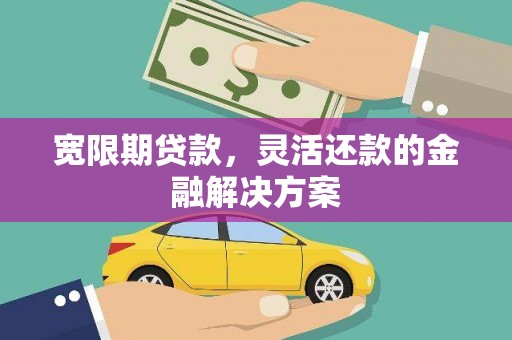 乐东宽限期贷款，灵活还款的金融解决方案