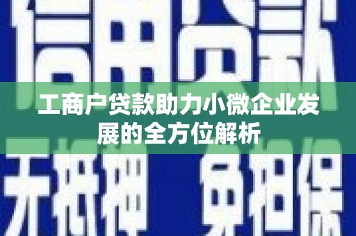 乐东工商户贷款助力小微企业发展的全方位解析