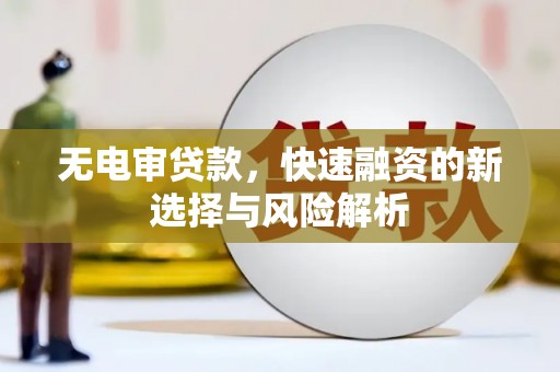 乐东无电审贷款，快速融资的新选择与风险解析