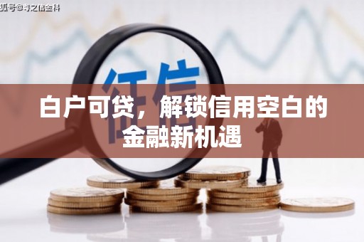 乐东白户可贷，解锁信用空白的金融新机遇