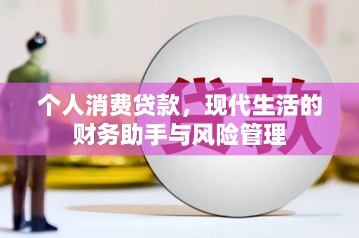 乐东个人消费贷款，现代生活的财务助手与风险管理