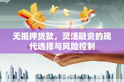乐东无抵押贷款，灵活融资的现代选择与风险控制