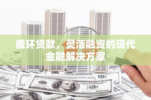 乐东循环贷款，灵活融资的现代金融解决方案