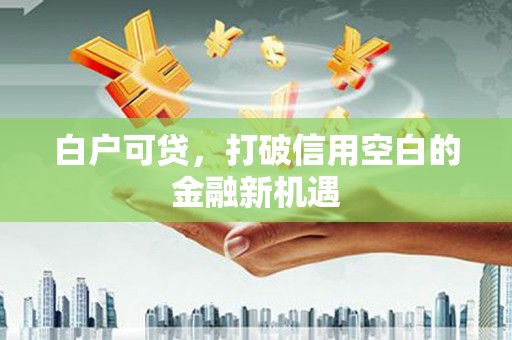 乐东白户可贷，打破信用空白的金融新机遇