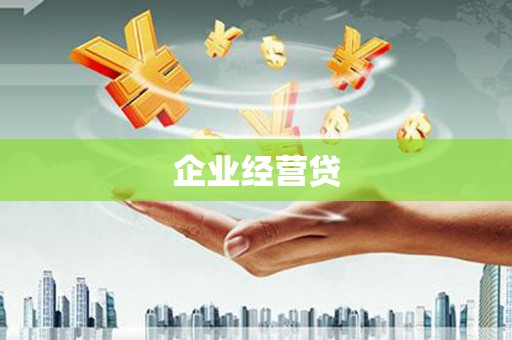 乐东企业经营贷