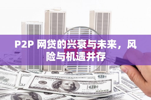 乐东P2P 网贷的兴衰与未来，风险与机遇并存