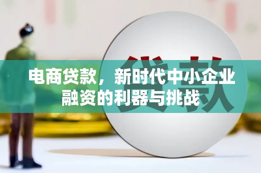 乐东电商贷款，新时代中小企业融资的利器与挑战