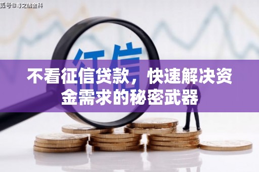 乐东不看征信贷款，快速解决资金需求的秘密武器