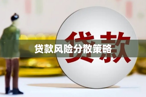 乐东贷款风险分散策略