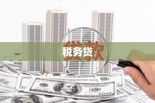 乐东税务贷
