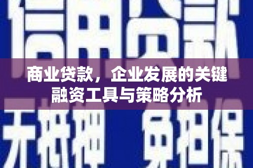 乐东商业贷款，企业发展的关键融资工具与策略分析
